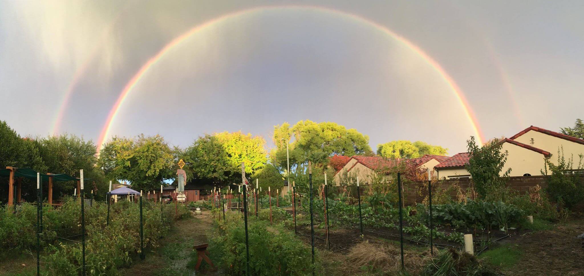 Photo of a rainbow arching over the farm