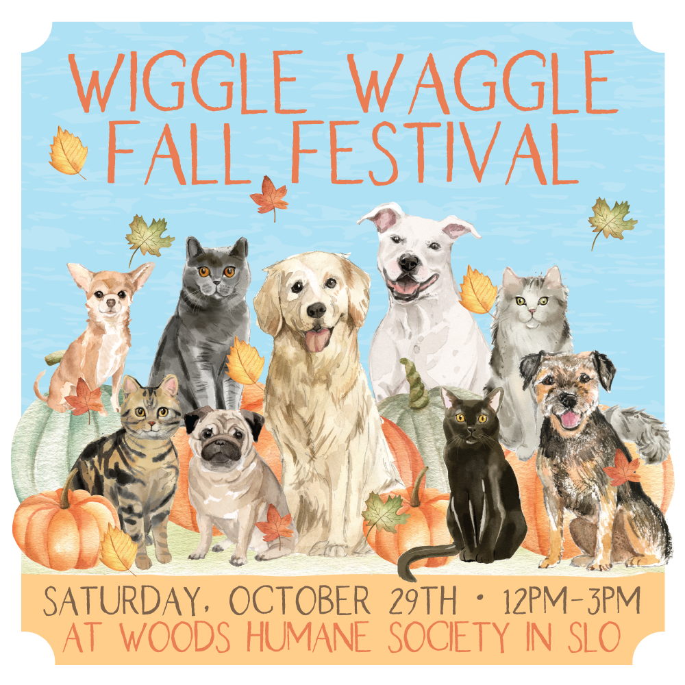 Perfect Union Morro Bay dispensary supports Wiggle Waggle 