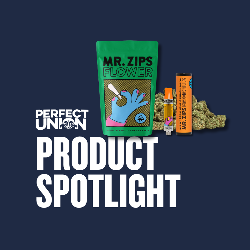 Mr. Zips Bloom of Choice at Perfect Union Product Spotlight 01.2024