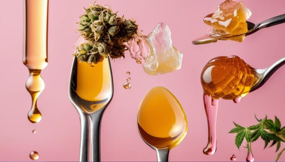 Discovering the Different Types of Cannabis Concentrates