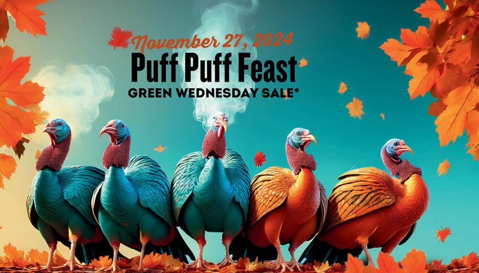 Don’t Miss Our Biggest Sale of the Year: Up to 50% Off!