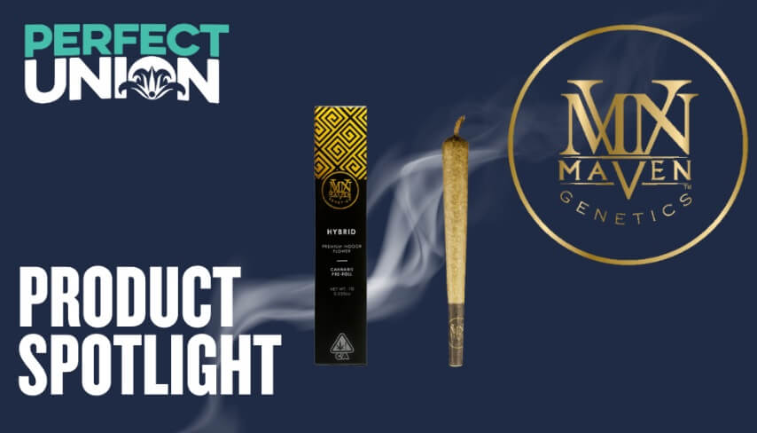 Maven Genetics MVN – French Lotus