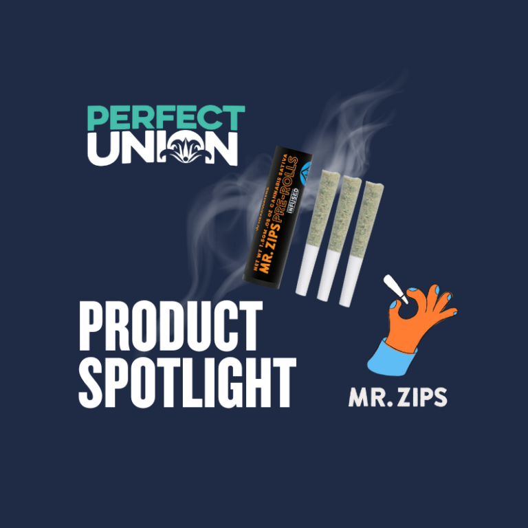 mr zips