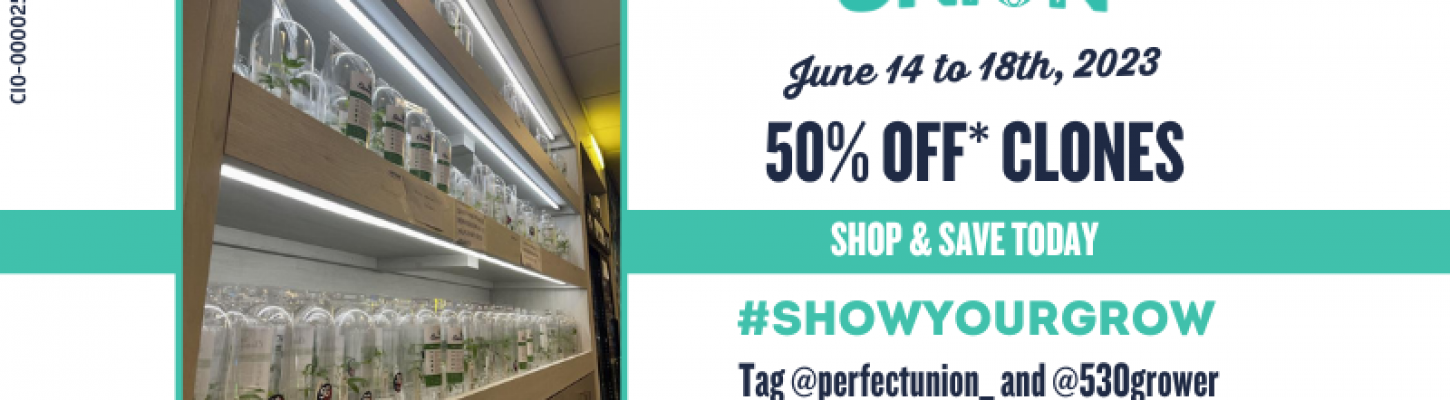 _Clones 50% off Sale June 14 to 18, 2023 at Perfect Union and Wild Seed Wellness (8.5 × 11 in) (1) Perfect Union June 14 to June 18 2023 All clones 50% Off while supplies last.